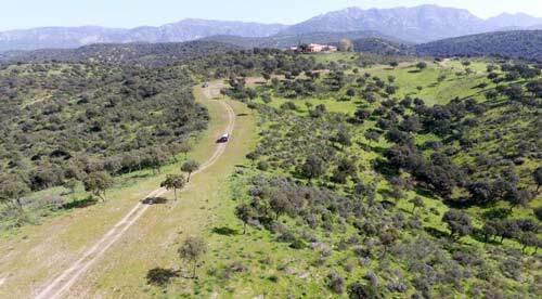 Andujar: Andalusien, Provinz Jaen, Naturpark Sierra de Andujar - 852 Hektar Jagdfinca Andujar: Andalusien, Provinz Jaen, Naturpark Sierra de Andujar - 852 Hektar Jagdfinca