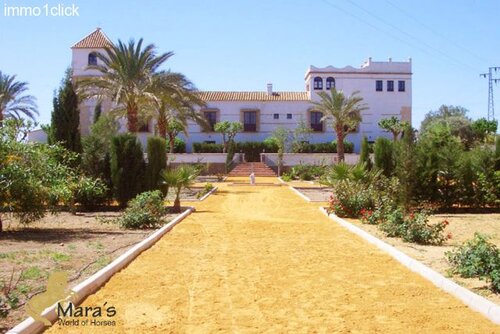 Carmona historisches Hacienda-Hotel Sevilla, Andalusien zu verkaufen 
