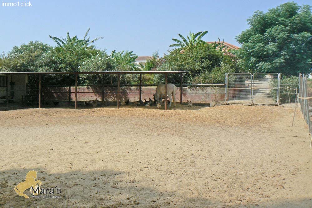 Haus mit Pool und Pferdeboxen in Andalusien, Provinz Sevilla, Coto Donana zu verkaufen   