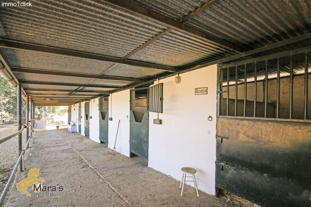 Haus mit Pool und Pferdeboxen in Andalusien, Provinz Sevilla, Coto Donana zu verkaufen   