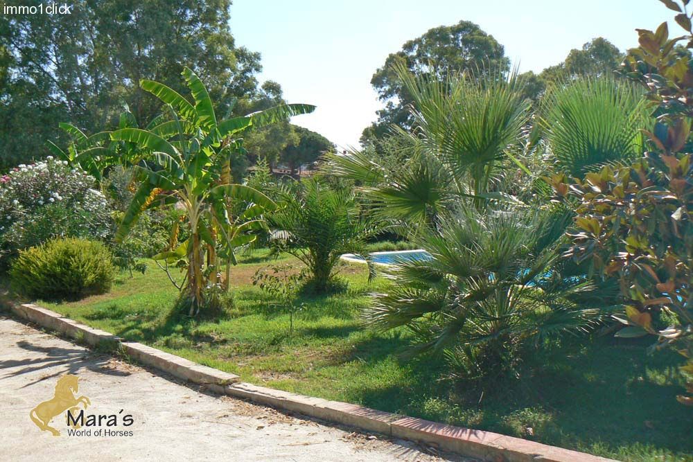 Haus mit Pool und Pferdeboxen in Andalusien, Provinz Sevilla, Coto Donana zu verkaufen   