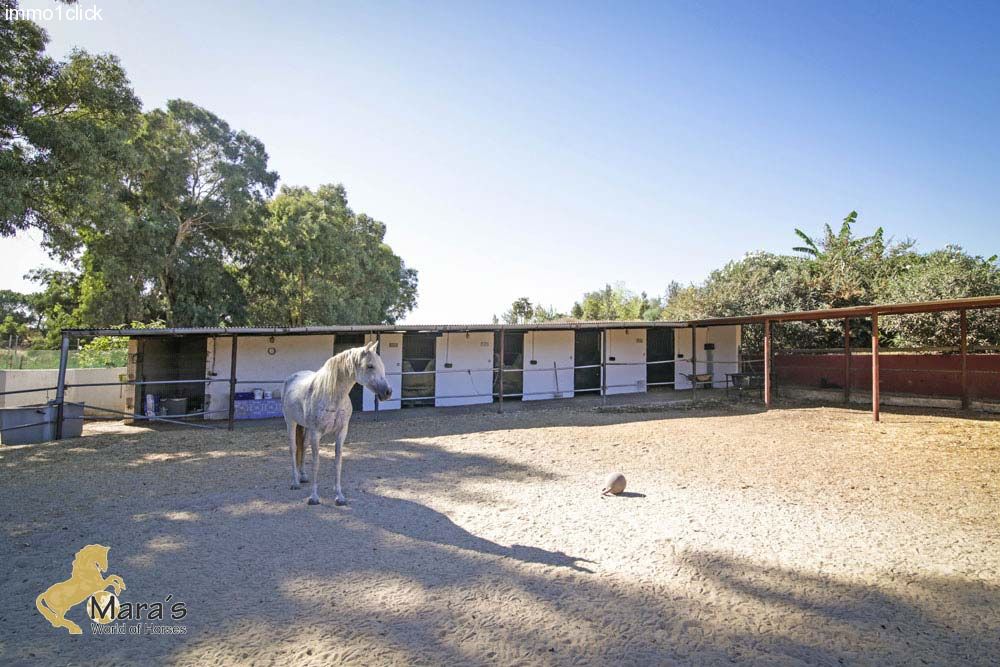 Haus mit Pool und Pferdeboxen in Andalusien, Provinz Sevilla, Coto Donana zu verkaufen   