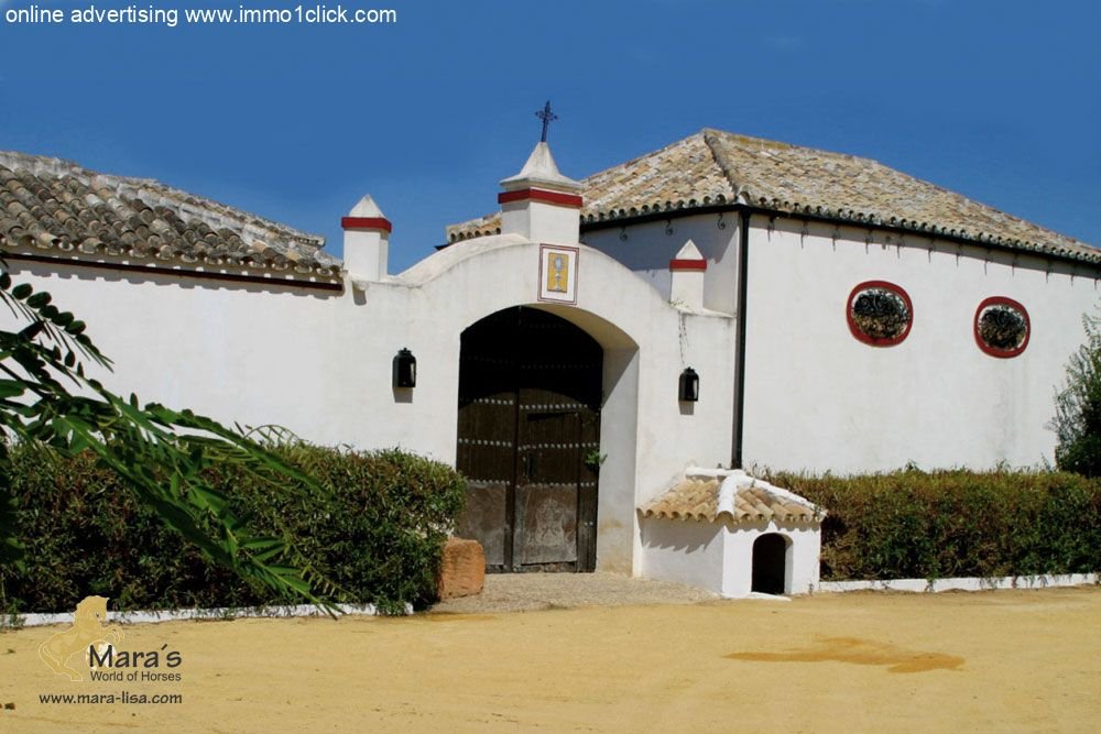 Finca, Cortijo, Andalusien, Sevilla zu verkaufen