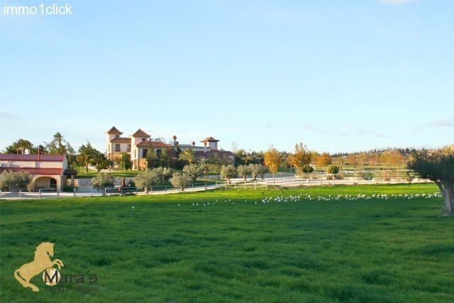 Hacienda Hotel mit Reitzentrum zu verkaufen in Alicante, Costa Blanca, Valencia