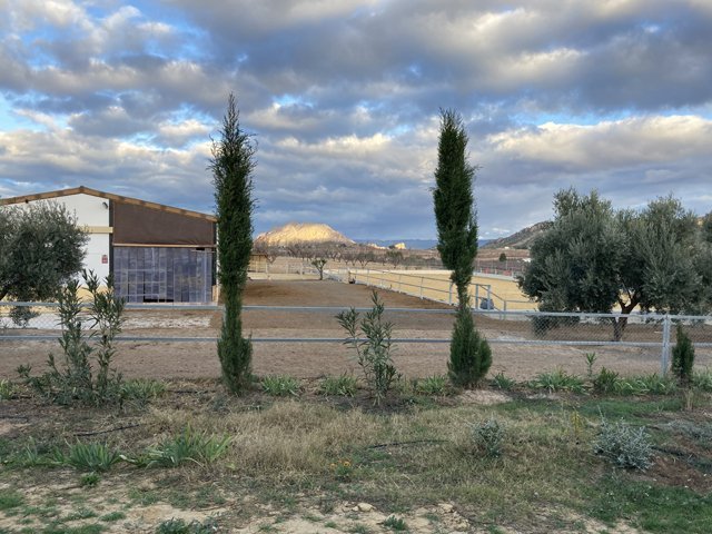 2342 Spanien, Murcia, Campo de Ricote - Finca mit 2 Häusern und Pferdestall zu verkaufen