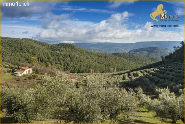 Finca mit Jagdgebiet, Cortijo, zu verkaufen, Provinz Jaen, Andalusien