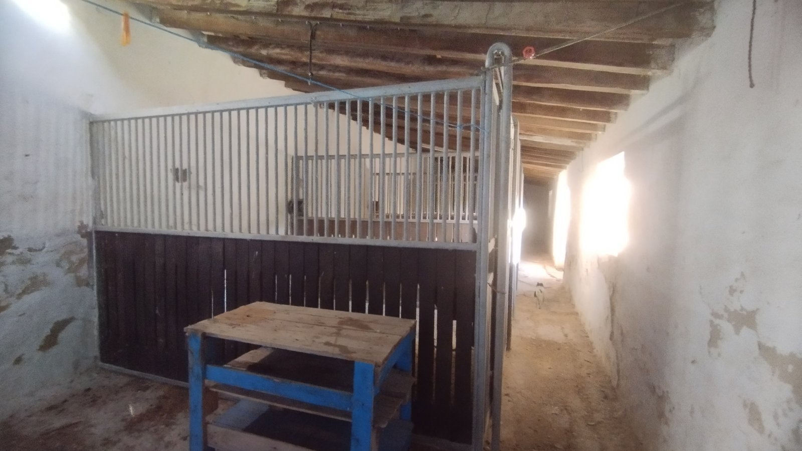 Ref2410 Andalusien, Provinz Cadiz, Bornos - Finca mit viel Land zu verkaufen