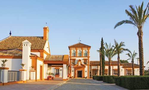 2454 andalusien, sevilla, luxus landgut, finca, cortijo, hacienda zu verkaufen