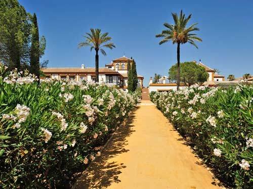 2454 andalusien, sevilla, luxus landgut, finca, cortijo, hacienda zu verkaufen