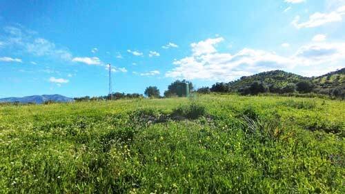 2518 Andalusien, Malaga, Coin, Finca mit Pferdestall zu verkaufen