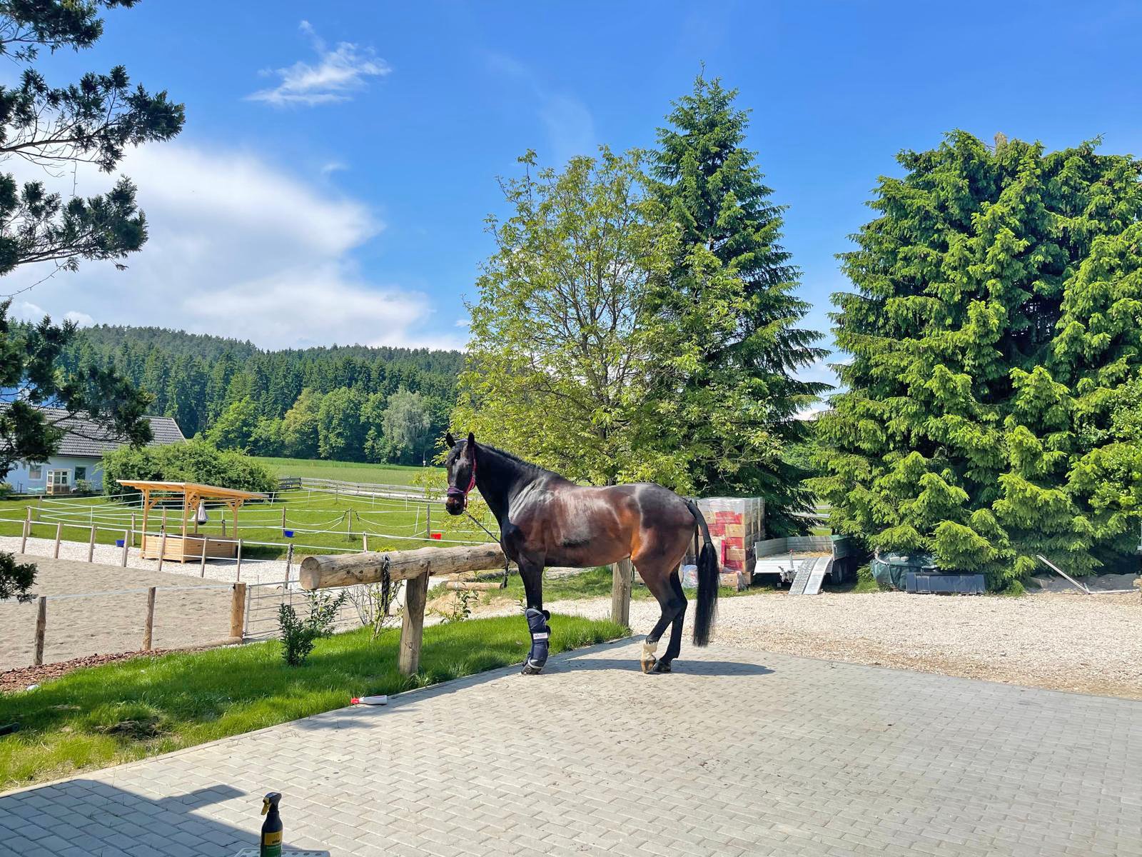 2522HC österreich, kärnten, völkermarkt, landhaus mit pferdestall zu verkaufen