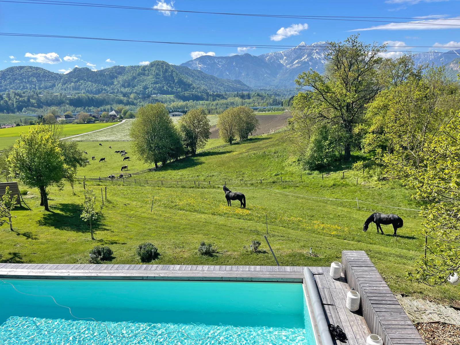 2522HC österreich, kärnten, völkermarkt, landhaus mit pferdestall zu verkaufen