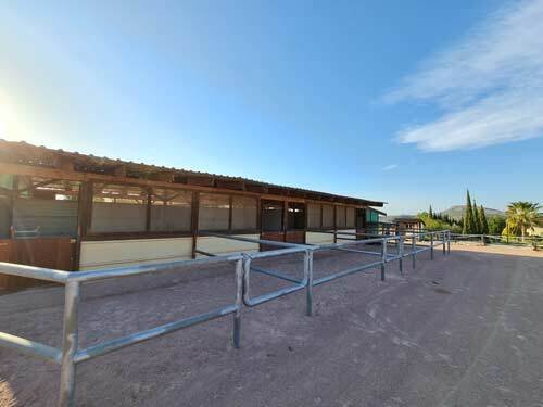 2523SS spanien, alicante, monovar, gästeranch, finca zu verkaufen