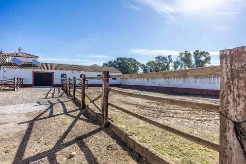 2525FS andalusien, sevilla, cortijo zu verkaufen
