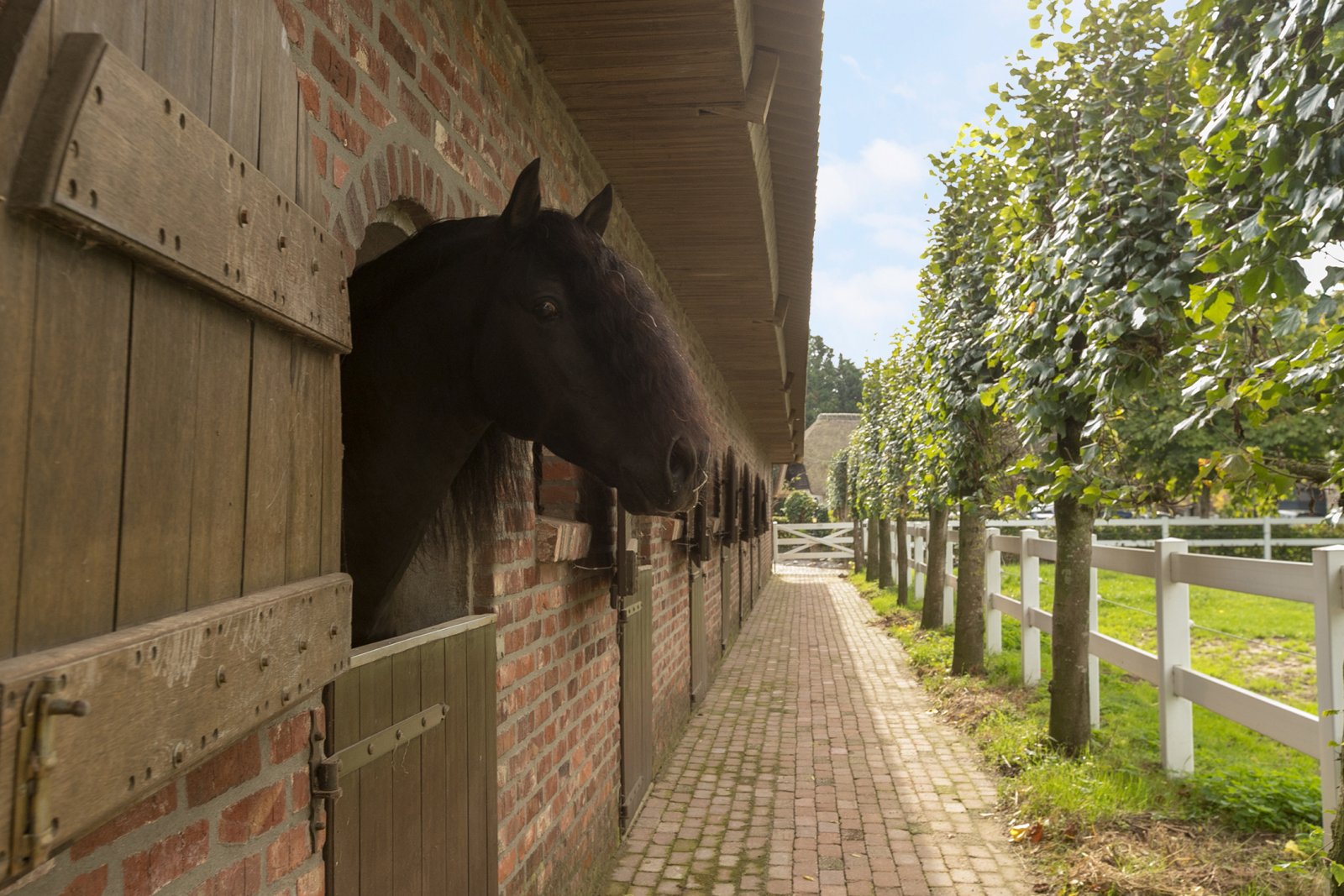 2323 Niederlande, Ven-Zelderheide - exkl Reitimmobilie zu verkaufen
