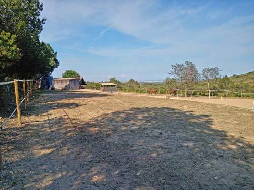 2531 spanien, valencia, montserrat, finca mit pferdestall zu verkaufen