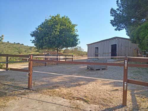 2531 spanien, valencia, montserrat, finca mit pferdestall zu verkaufen