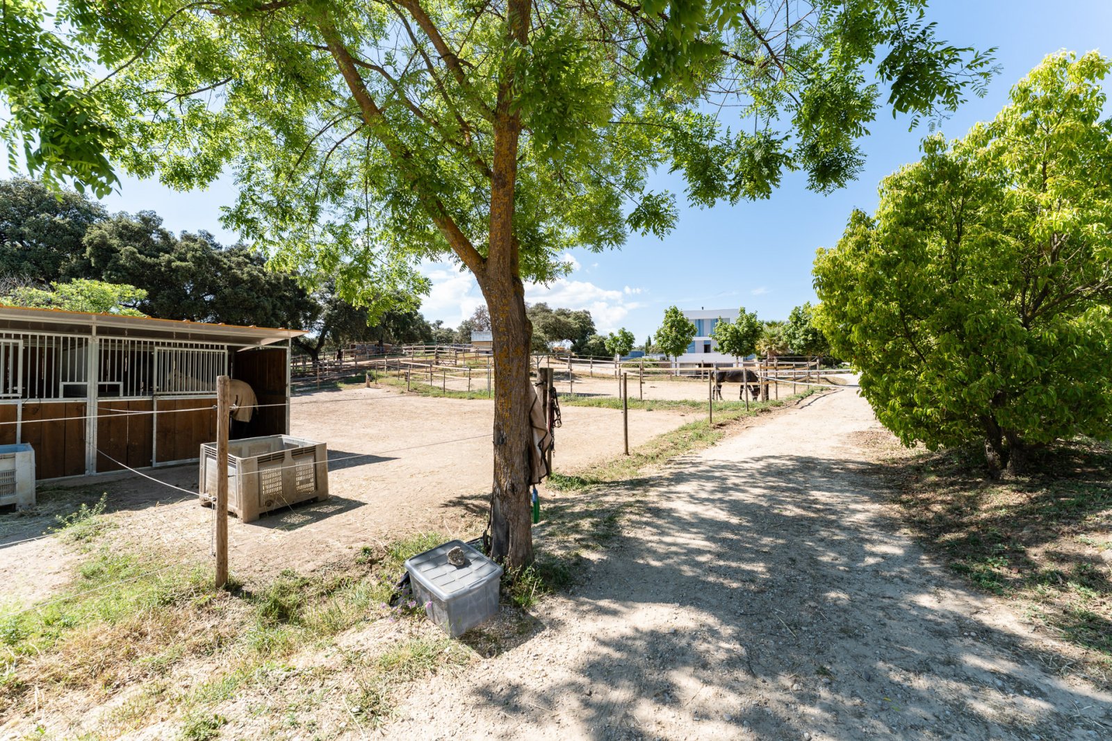 2527 andalusien, ronda, reitstall, finca zu verkaufen