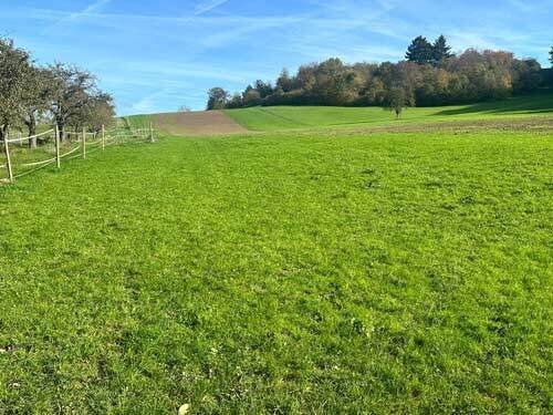 2530 baden wuerttemberg, heilbronn, reitanlage zu verkaufen