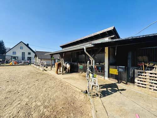 2542MK Rheinland Pfalz, westerwald, bellingen, haus, stall, reitplatz, verkauf