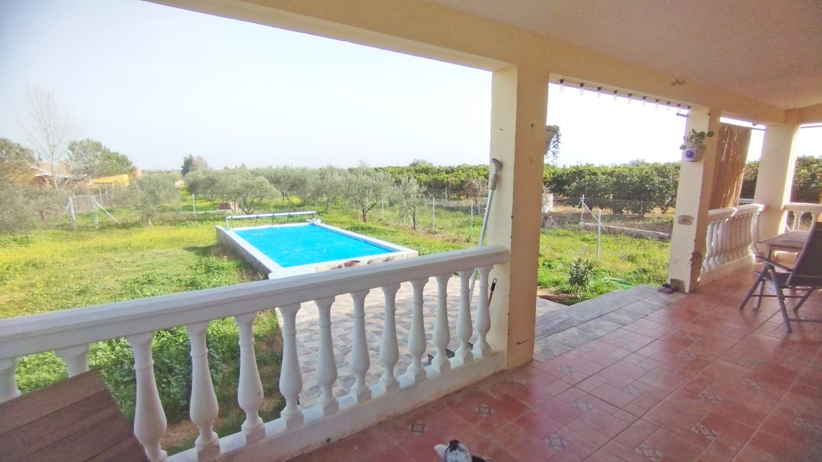 2405 Andalusien, Huelva, La Palma del Condado, Haus Finca mit Pool zu verkaufen