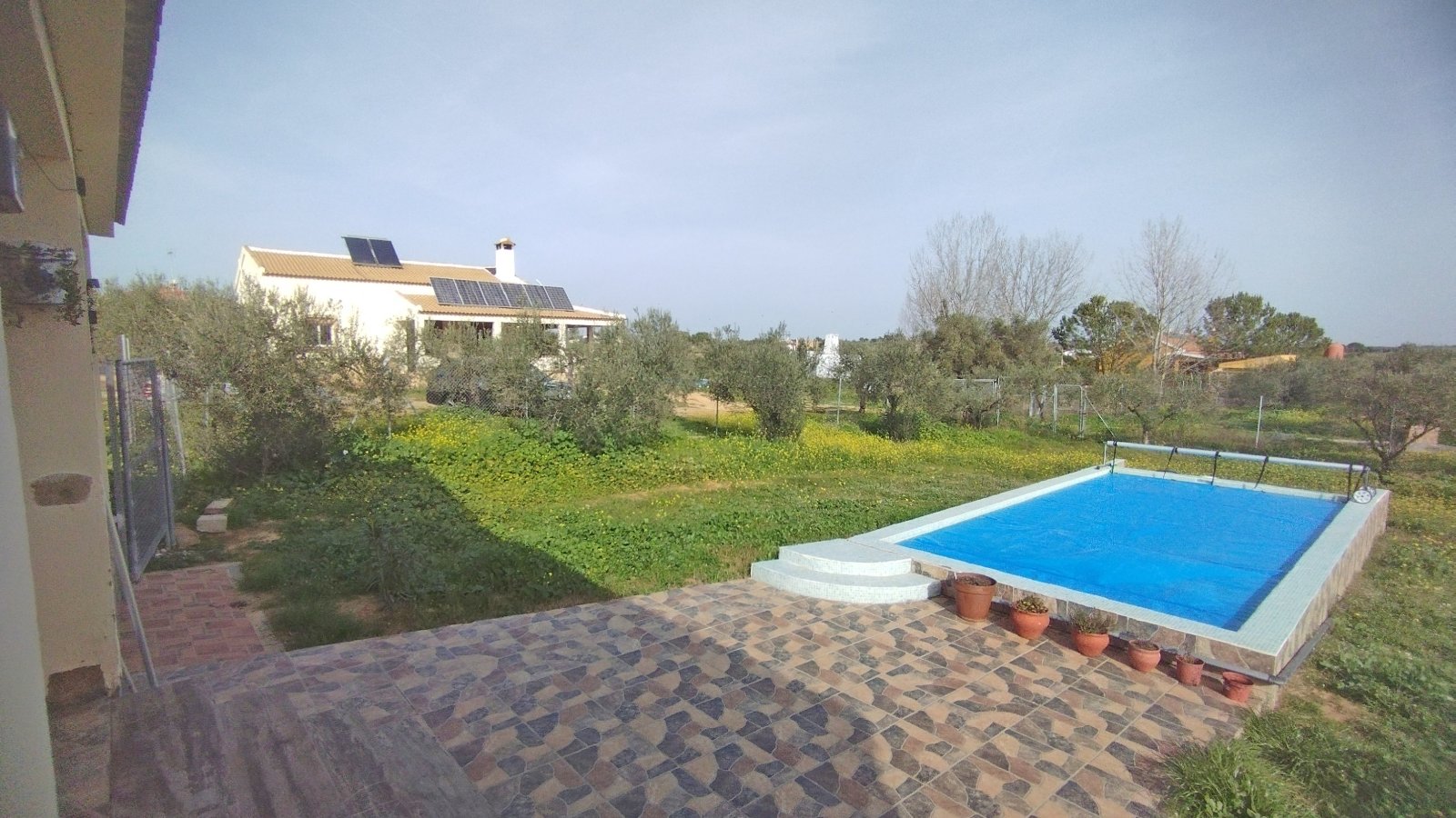 2405 Andalusien, Huelva, La Palma del Condado, Haus Finca mit Pool zu verkaufen