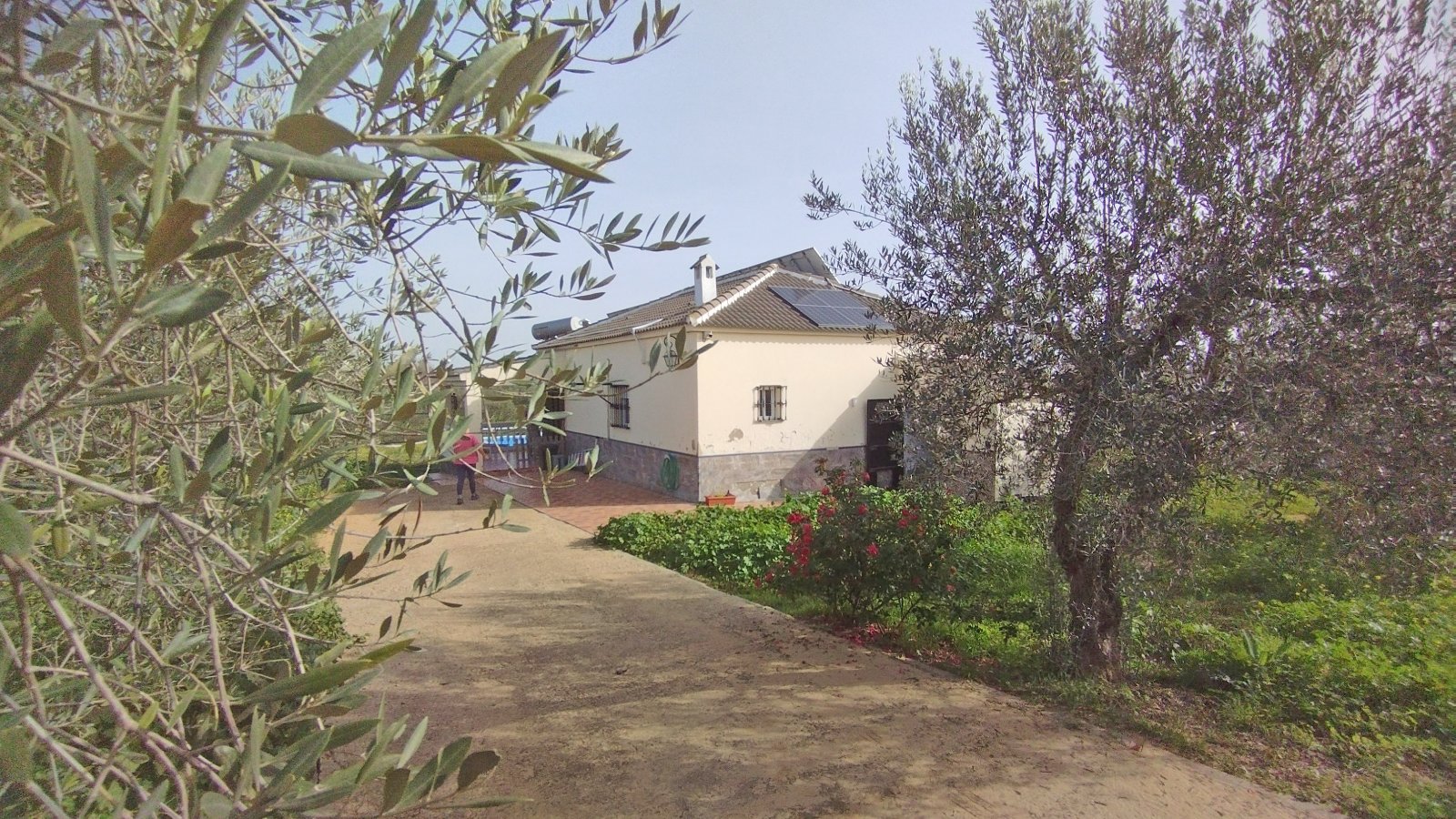 2405 Andalusien, Huelva, La Palma del Condado, Haus Finca mit Pool zu verkaufen