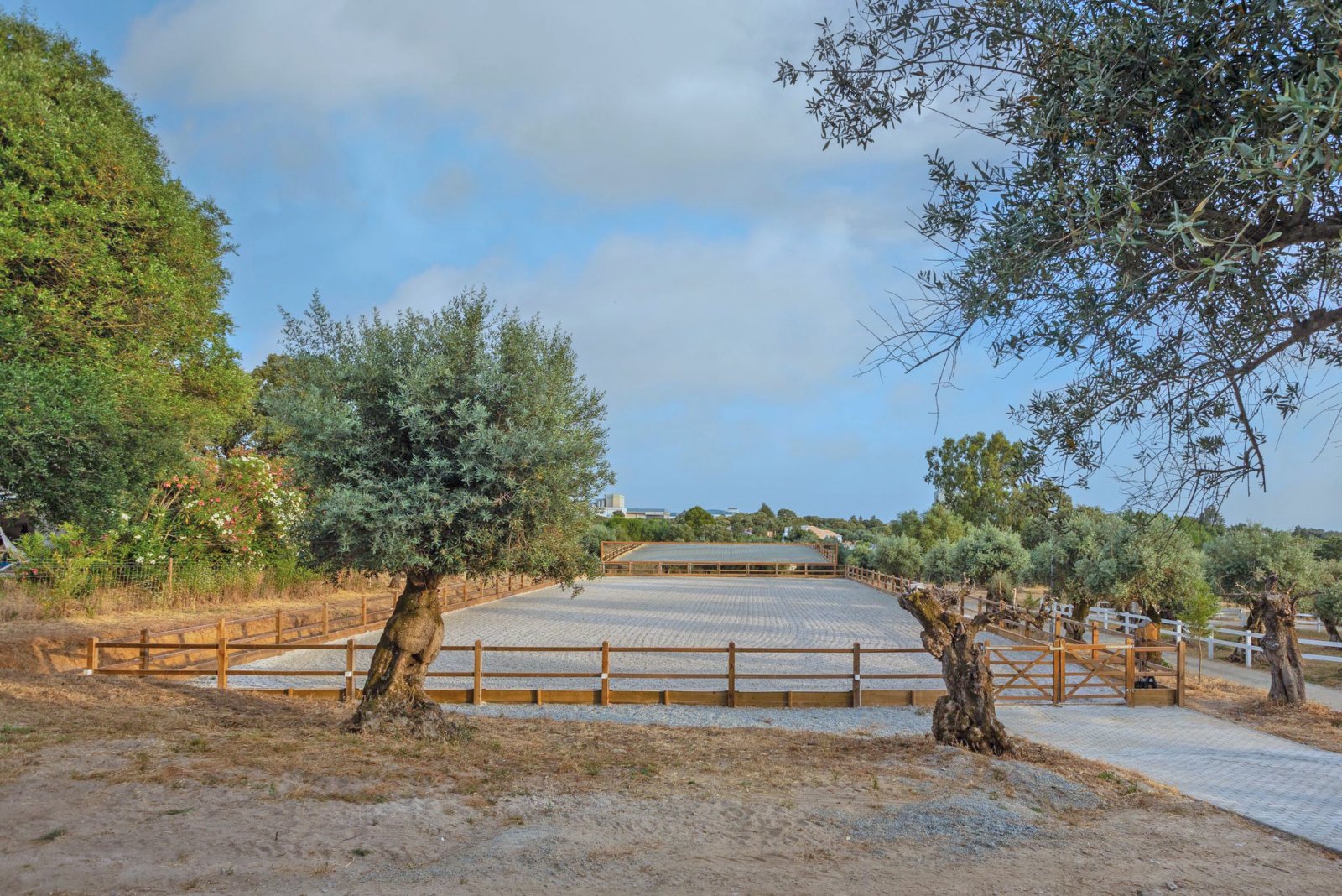 2546 portugal, alentejo, arraiolos, luxusfinca mit pferdestall