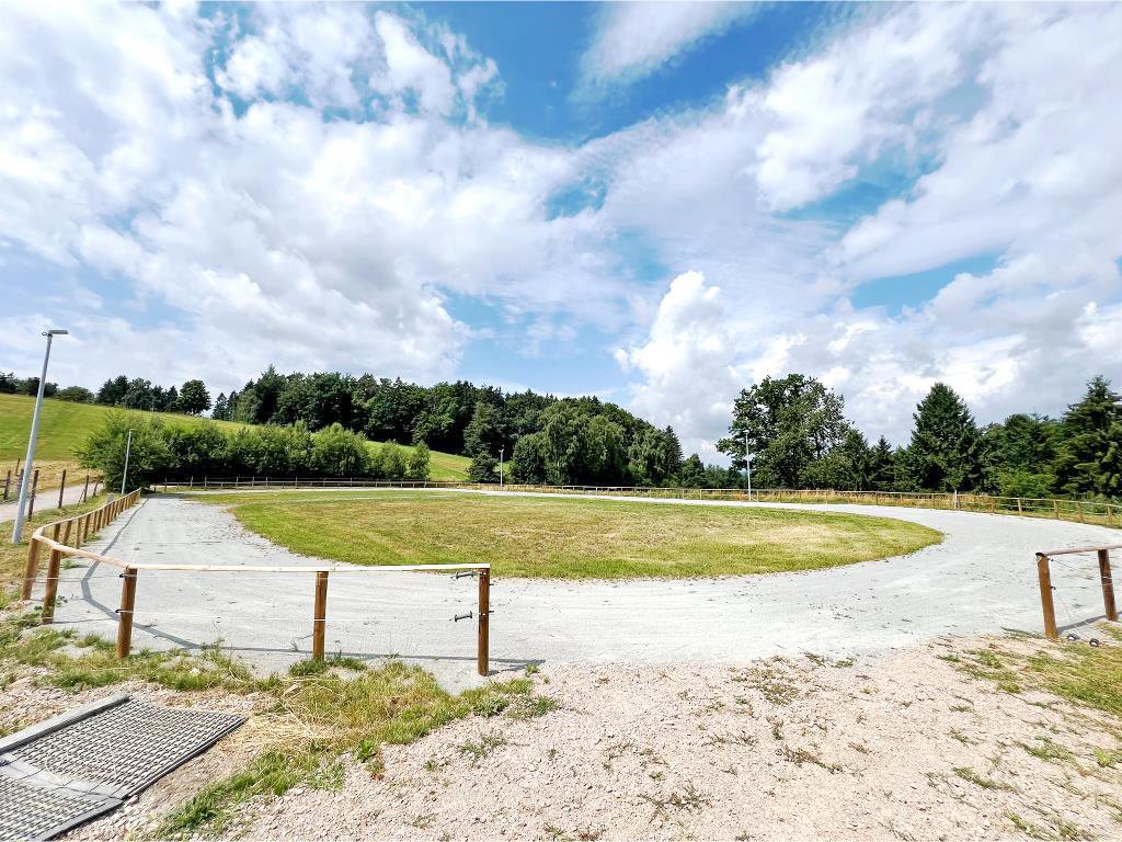 2545IZ Bayern, Oberpfalz, 35 Min Regensburg - gr. Wohnhaus mit Pferdehaltung, Reithalle, Reitplatz