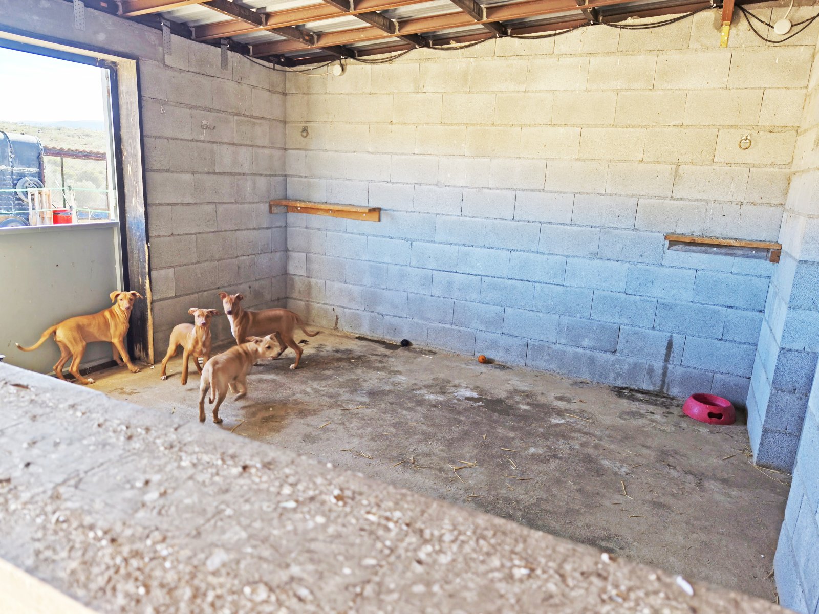 2552 Spanien, Andalusien, Almeria, Seron, Finca, Pool, Pferdestall zu verkaufen 2552 Spanien, Andalusien, Almeria, Seron, Finca, Pool, Pferdestall zu verkaufen