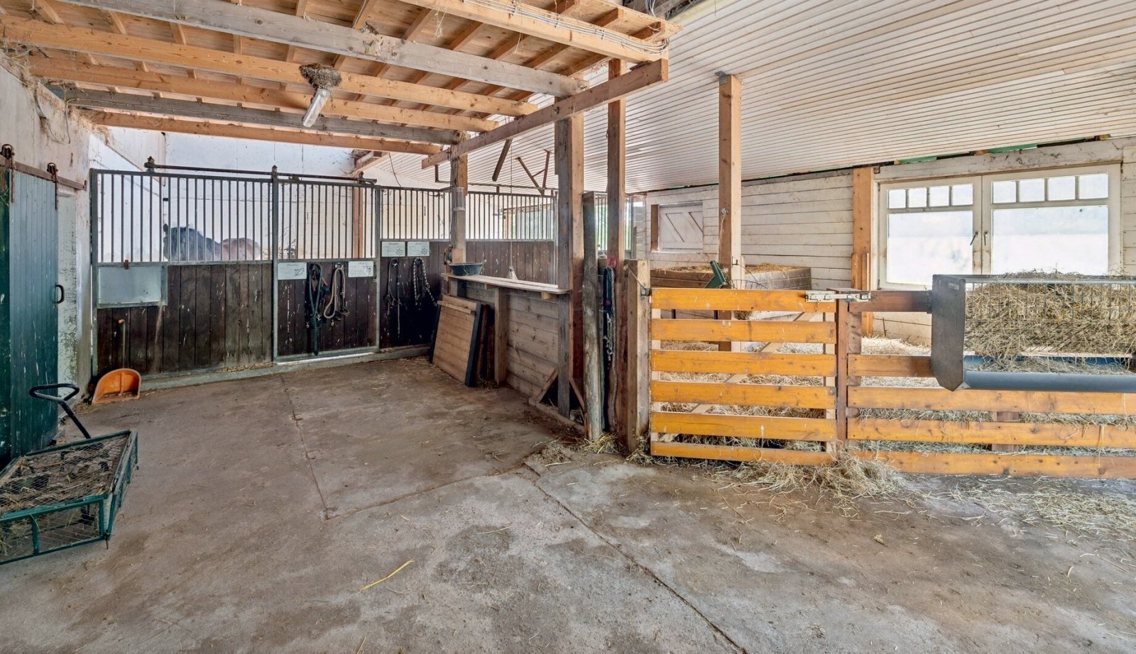 2554 schleswig holstein, plön, ostsee, selenter see, haus, pferdestall zu verkaufen