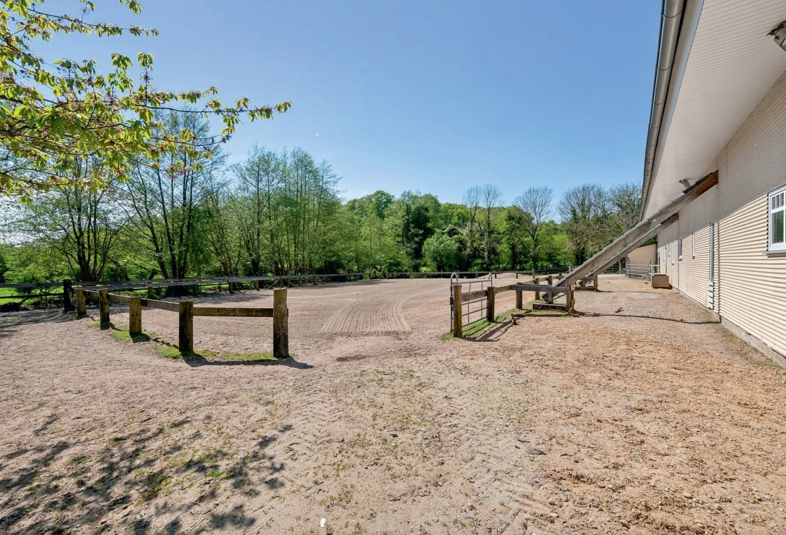 2554 schleswig holstein, plön, ostsee, selenter see, haus, pferdestall zu verkaufen