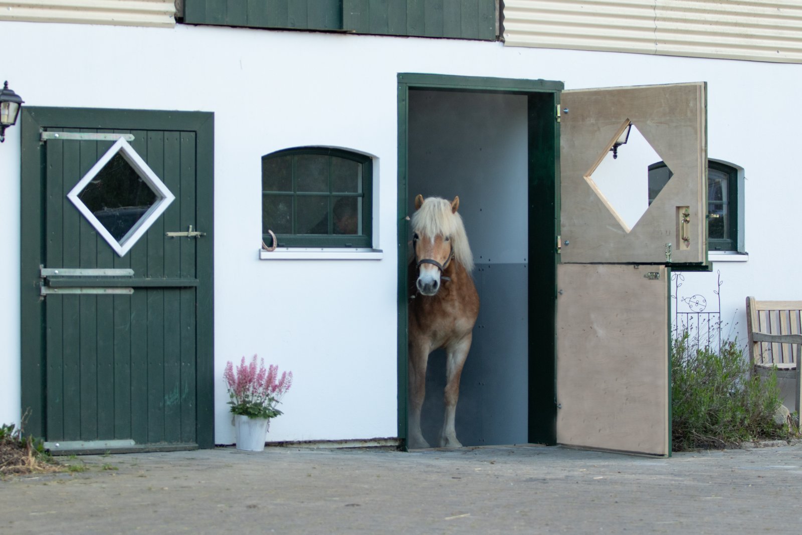 2554 schleswig holstein, plön, ostsee, selenter see, haus, pferdestall zu verkaufen