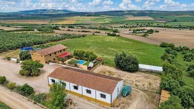 2607SK andalusien, arcos de la frontera, finca, pferdestall, reitplatz zu verkaufen
