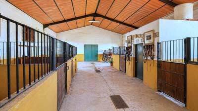 2607SK andalusien, arcos de la frontera, finca, pferdestall, reitplatz zu verkaufen