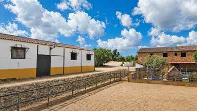 2607SK andalusien, arcos de la frontera, finca, pferdestall, reitplatz zu verkaufen