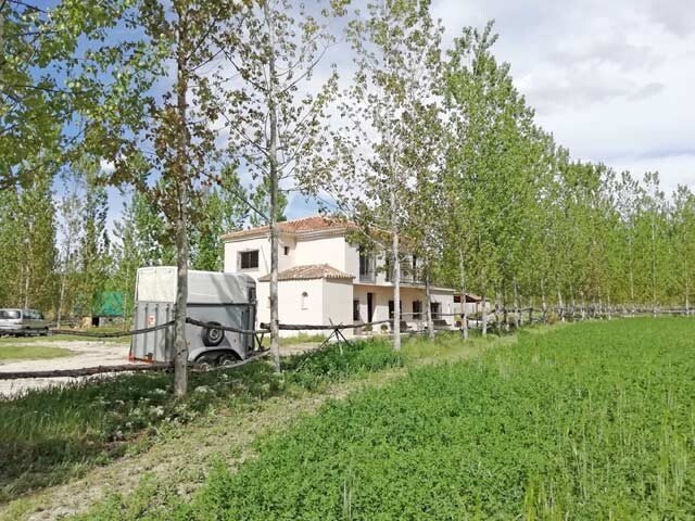 19021 andalusien, granada, guadix, finca, pool, pferdestall zu verkaufen