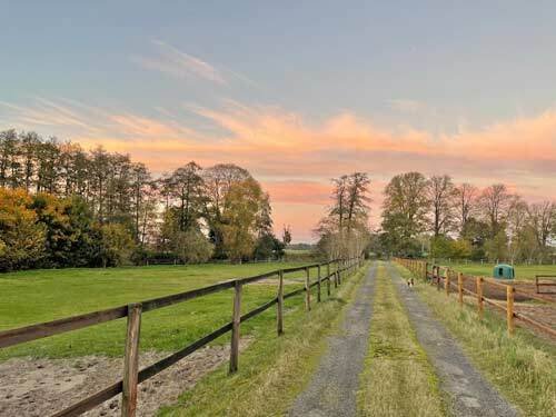 2613 niedersachsen, osterholz-scharmbeck, lilienthal, reitimmobilie zu verkaufen