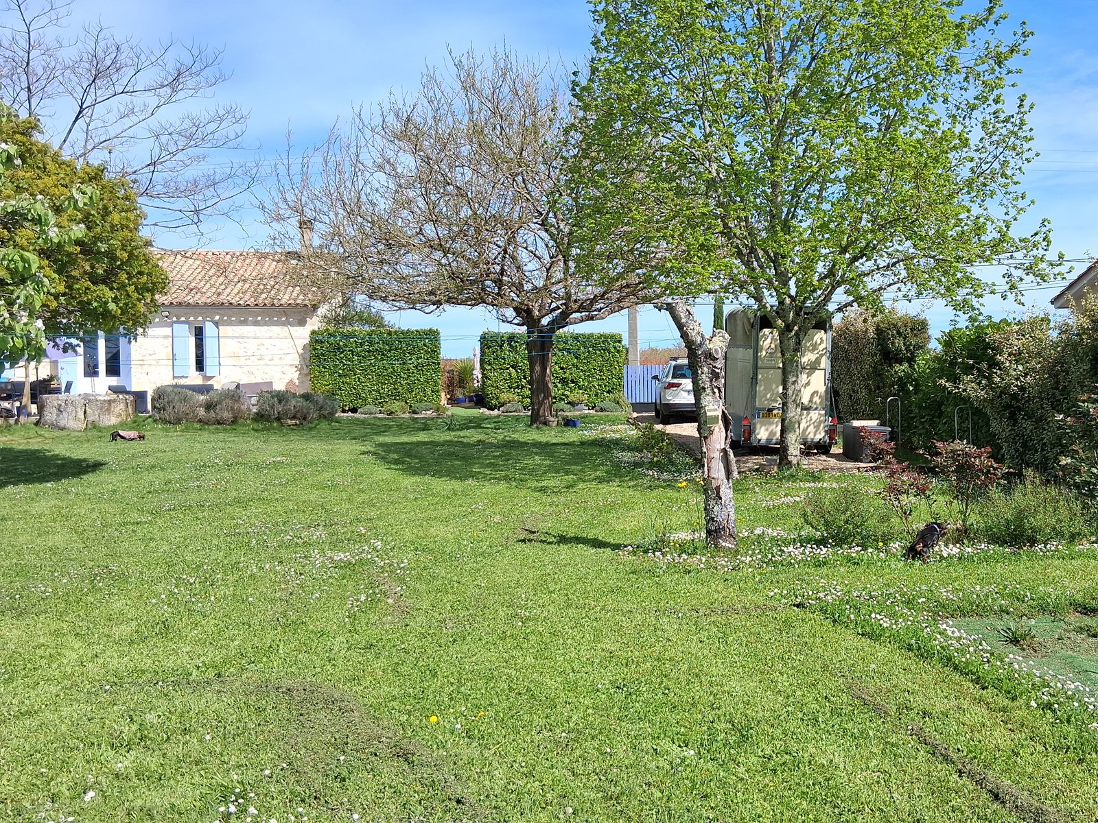 2609 Süd-west-Frankreich, Saint-Emilion, haus für pferdeliebhaber verkaufen 2609 Süd-west-Frankreich, Saint-Emilion, haus für pferdeliebhaber verkaufen