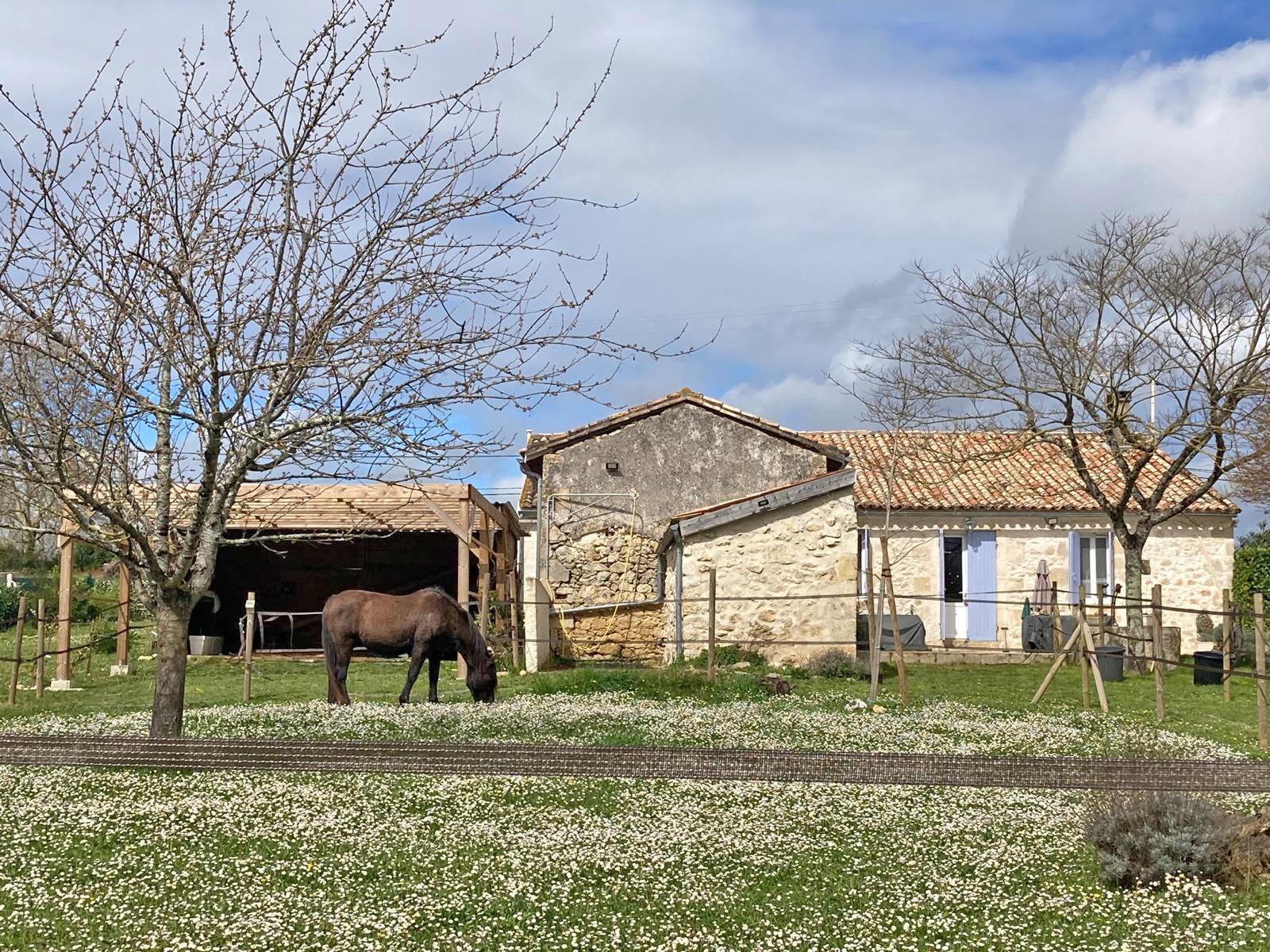 2609 Süd-west-Frankreich, Saint-Emilion, haus für pferdeliebhaber verkaufen 2609 Süd-west-Frankreich, Saint-Emilion, haus für pferdeliebhaber verkaufen