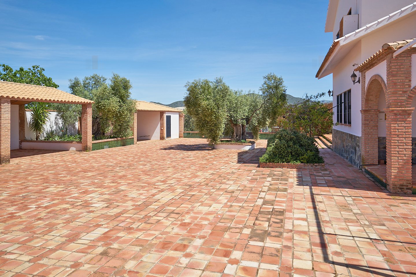 2614KN andalusien, provinz cadiz, olvera, finca, pool, oliven zu verkaufen 2614KN andalusien, provinz cadiz, olvera, finca, pool, oliven zu verkaufen