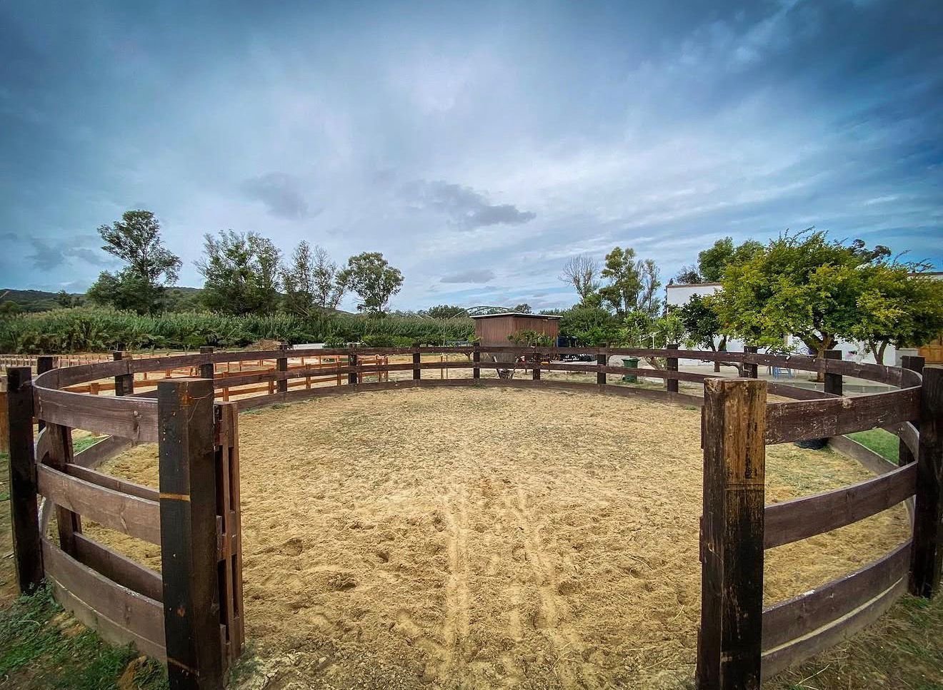 2616SK andalusien, sotogrande, reitstall, reitzentrum zu verkaufen