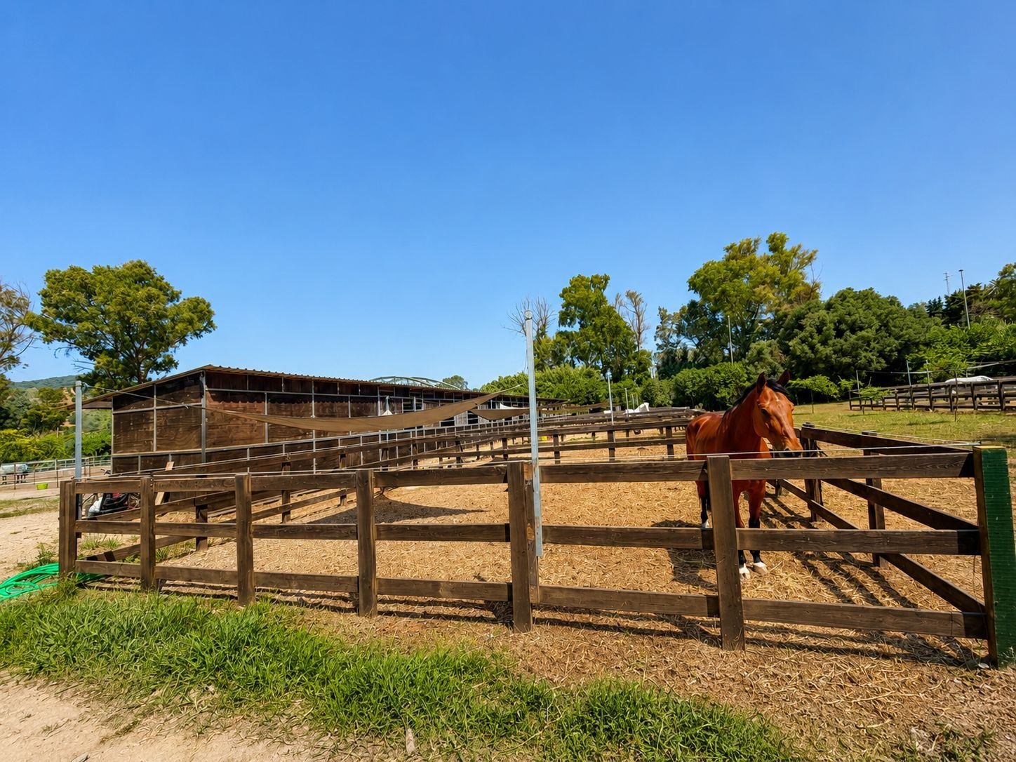 2616SK andalusien, sotogrande, reitstall, reitzentrum zu verkaufen