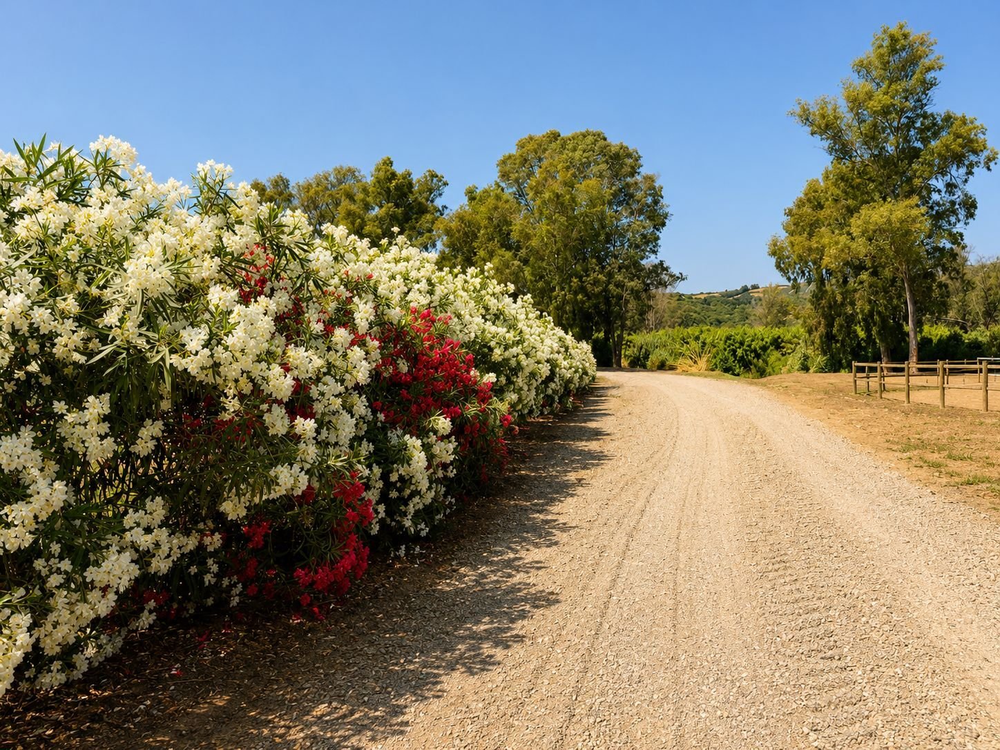 2616SK andalusien, sotogrande, reitstall, reitzentrum zu verkaufen