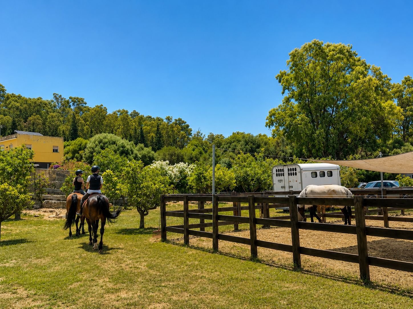 2616SK andalusien, sotogrande, reitstall, reitzentrum zu verkaufen
