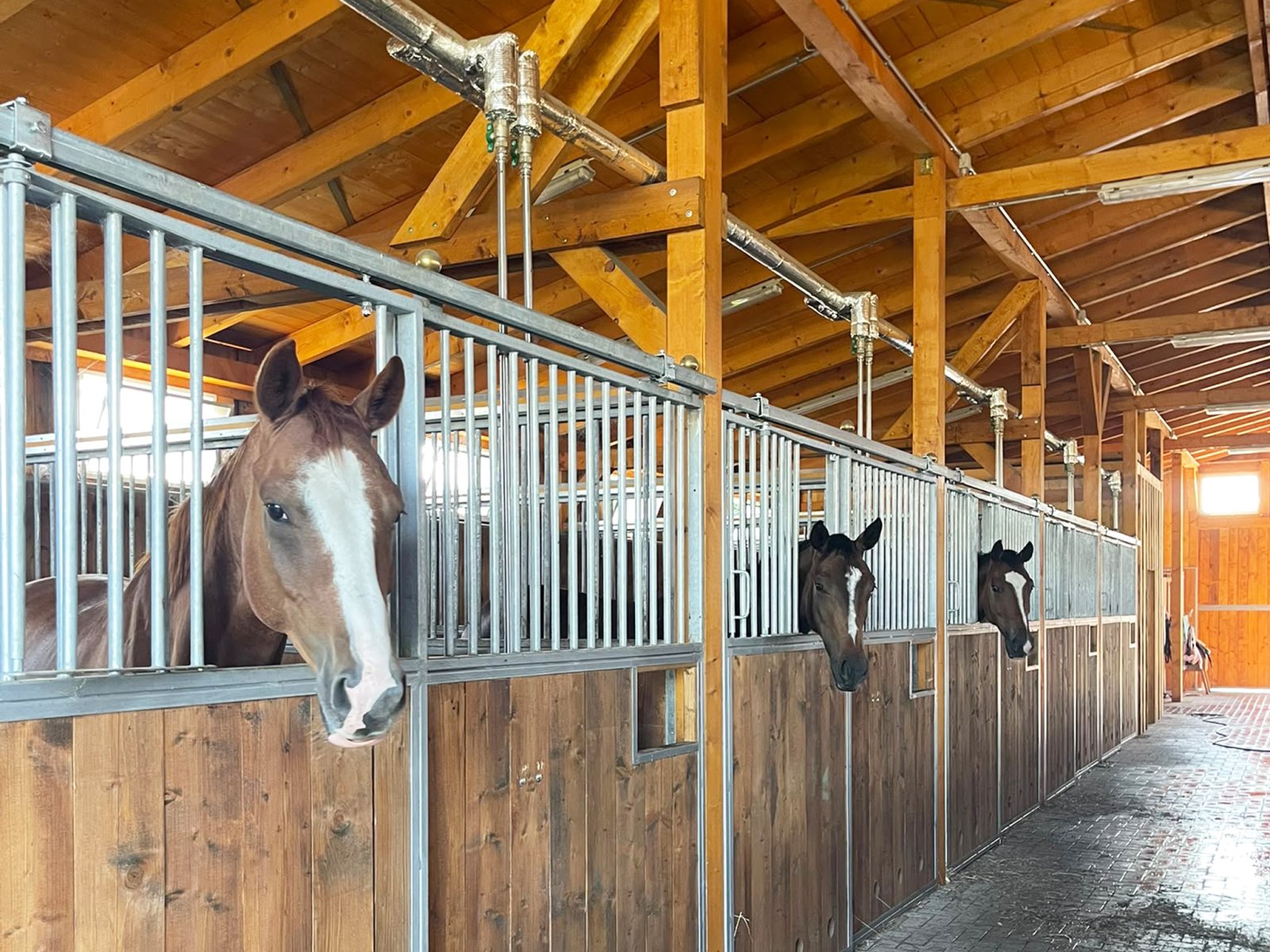 2622 brandenburg, berlin, scharmützelsee, reitimmobilie, gutshof, reitanwesen zu verkaufen 2622 brandenburg, berlin, scharmützelsee, reitimmobilie, gutshof, reitanwesen zu verkaufen