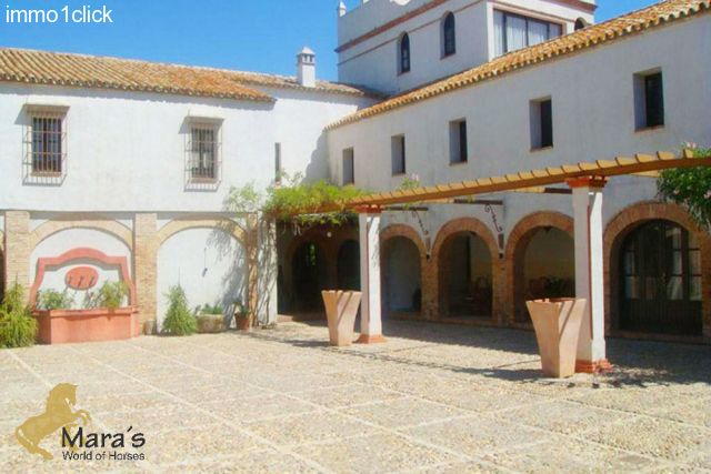 Hacienda-Hotel Carmona Sevilla Andalusien zu verkaufen - der Patio