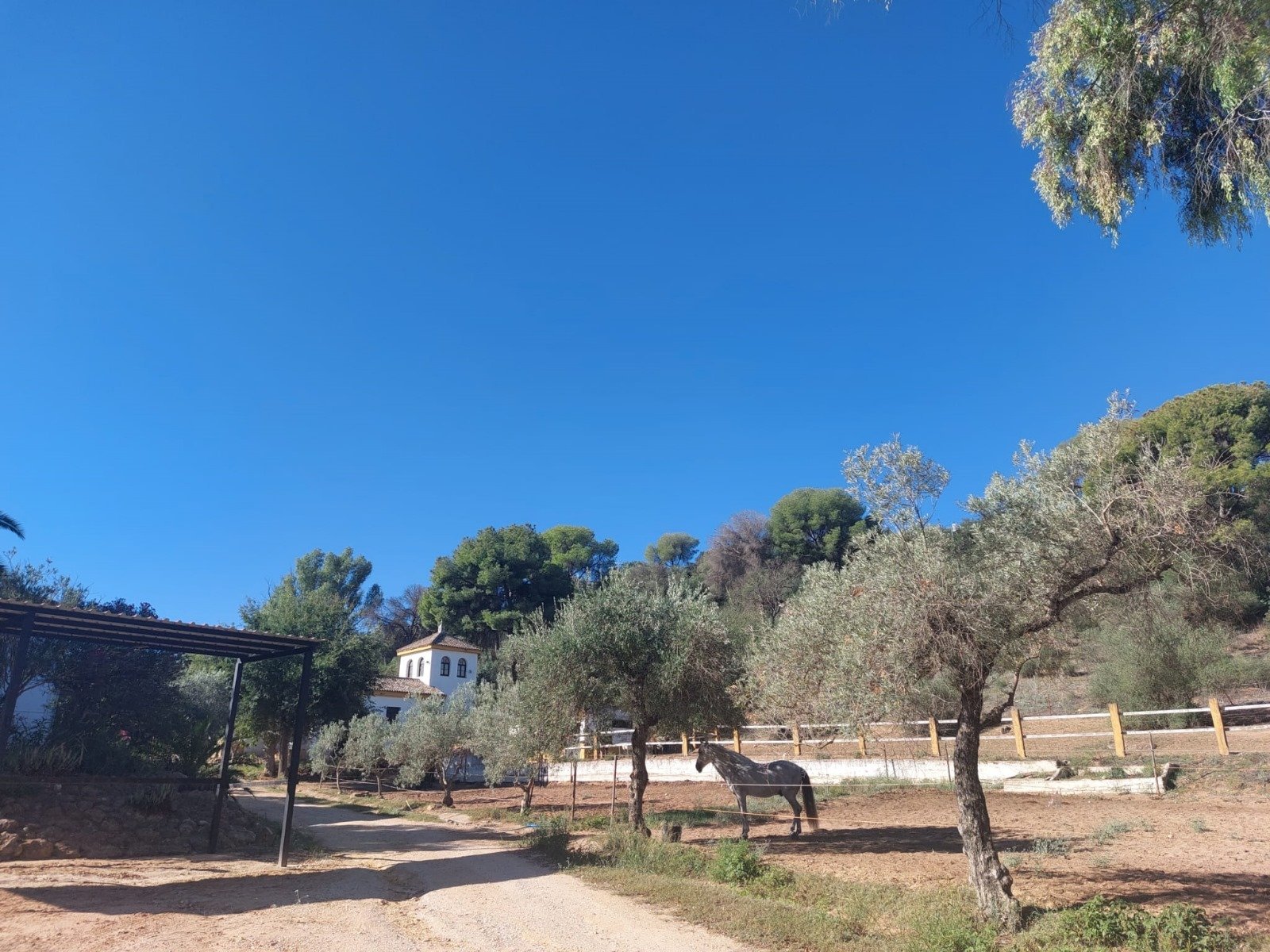 2409ER Andalusien, Alcala de Guadaira - Finca mit Pferdestall und Reithalle zu verkaufen