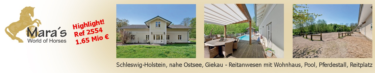 Maras World Solutions S.L.